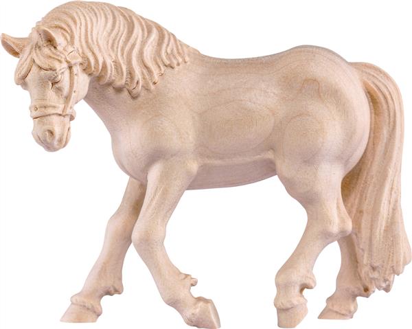 Pferd Haflinger Pferd Haflinger