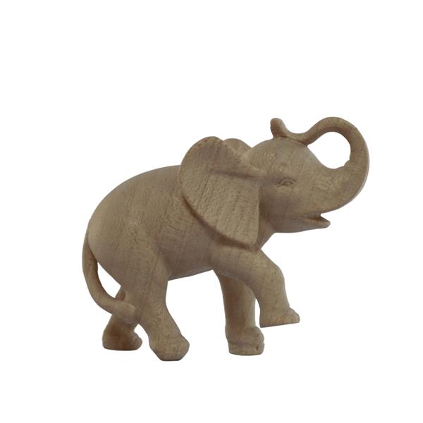 Junger Elefant Junger Elefant