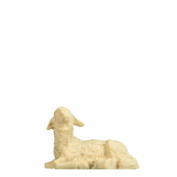 Schaf liegend Kopf rechts Schaf liegend Kopf rechts