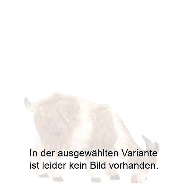 Ziege grasend Ziege grasend