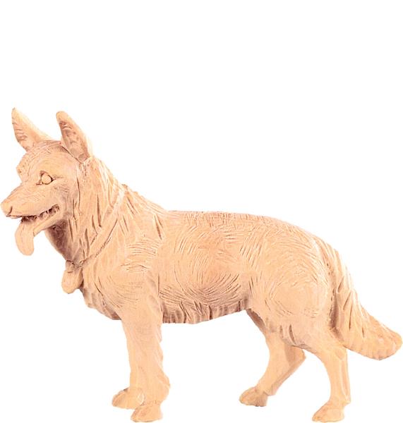 Schäferhund Schäferhund