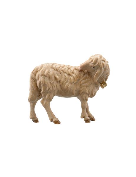 Schaf leckend mit Glocke