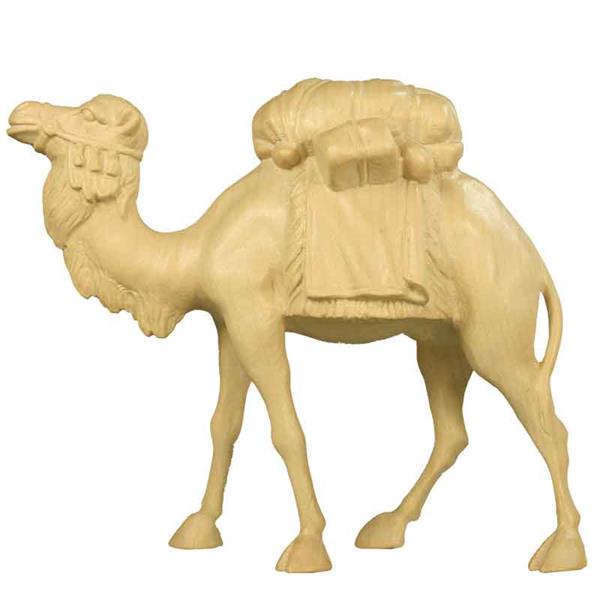 Kamel beladen Kamel beladen