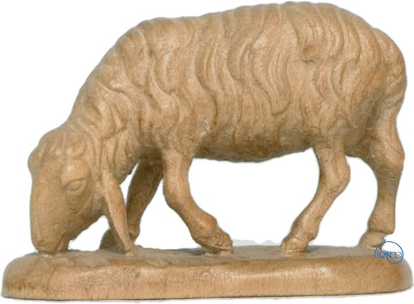 Schaf fressend Schaf fressend