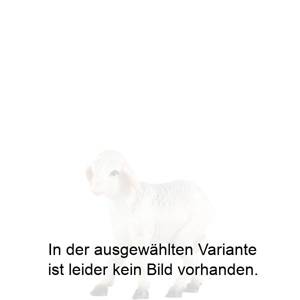 Schaf stehend rechts Schaf stehend rechts