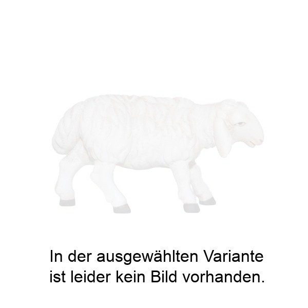 Schaf zuschauend