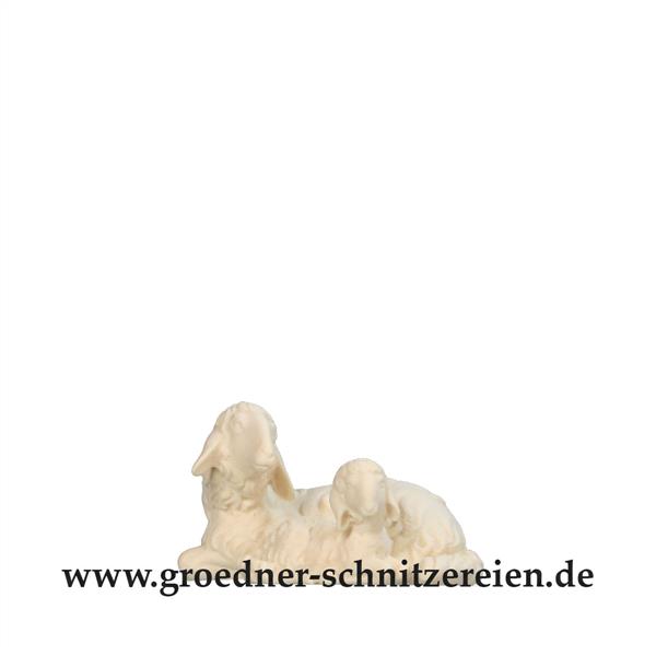 Schafgruppe liegend Schafgruppe liegend