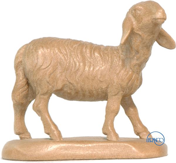 Schaf Kopf erhoben Schaf Kopf erhoben