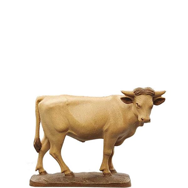 Ochs stehend Ochs stehend