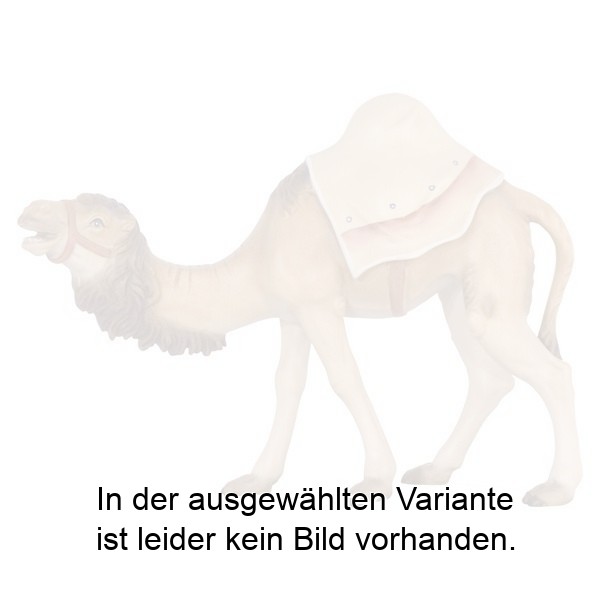 Kamel