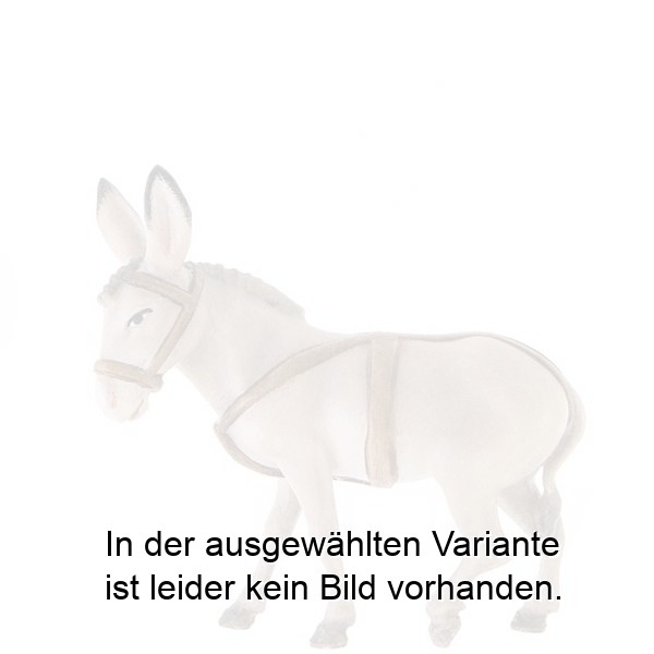 Esel mit Gurten ohne Karren Esel mit Gurten ohne Karren