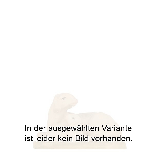 Schaf-Lamm liegend