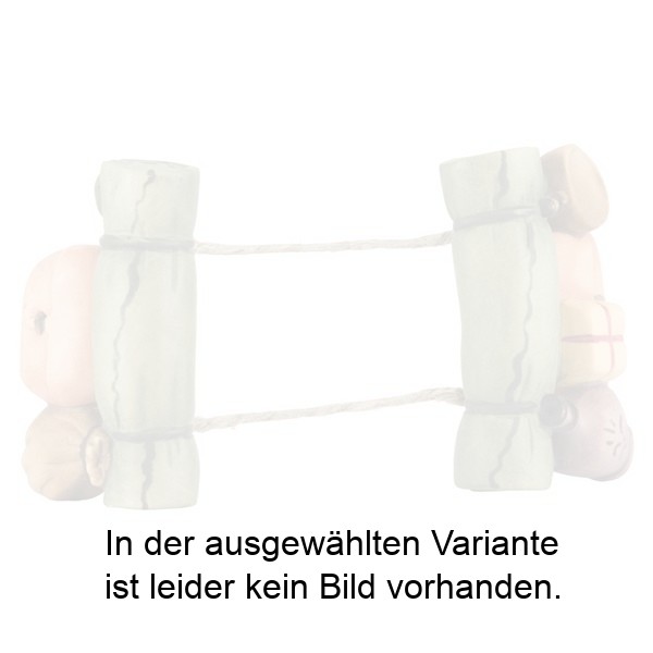 Gepäck für Kamel