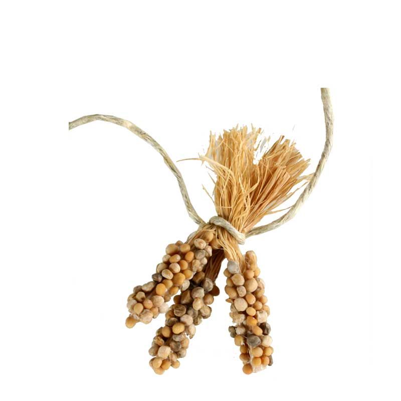 3 Maiskolben zusammengebunden 3 Maiskolben zusammengebunden