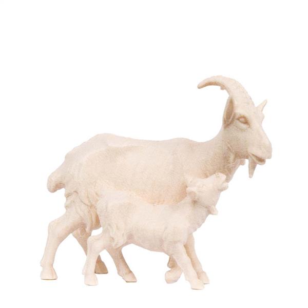 Ziege + Zicklein Ziege + Zicklein