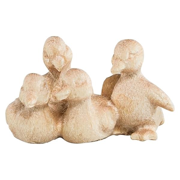 RA Entenküken RA Entenküken