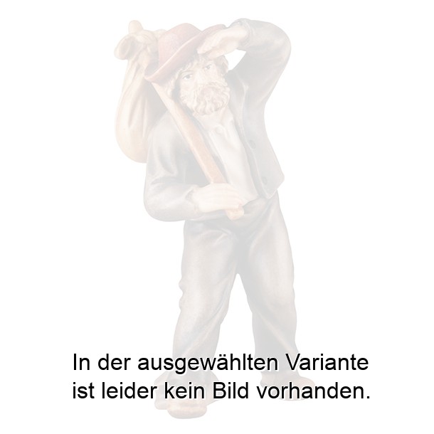 Hirte am Zaun