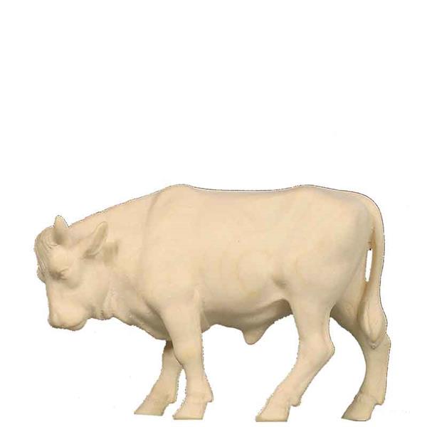 Ochs stehend Ochs stehend