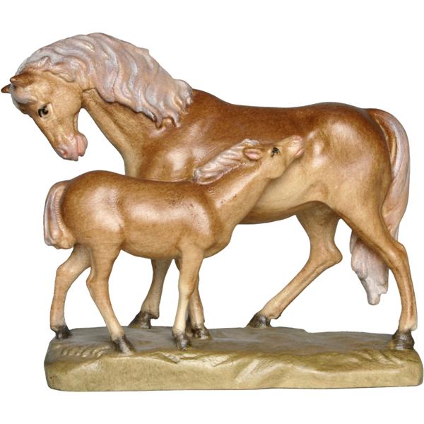 Pferd Pferd