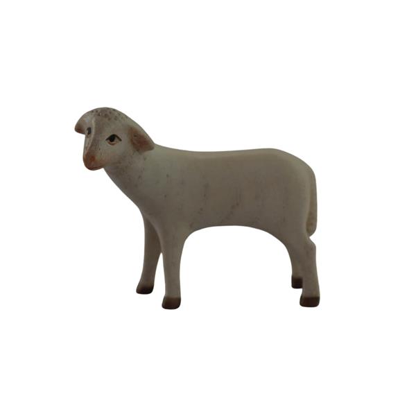 Schaf stehend Schaf stehend