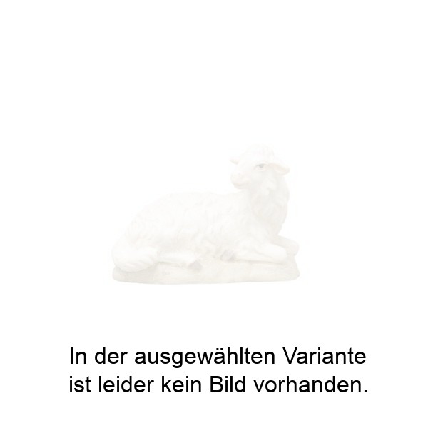 Lämmchen liegend