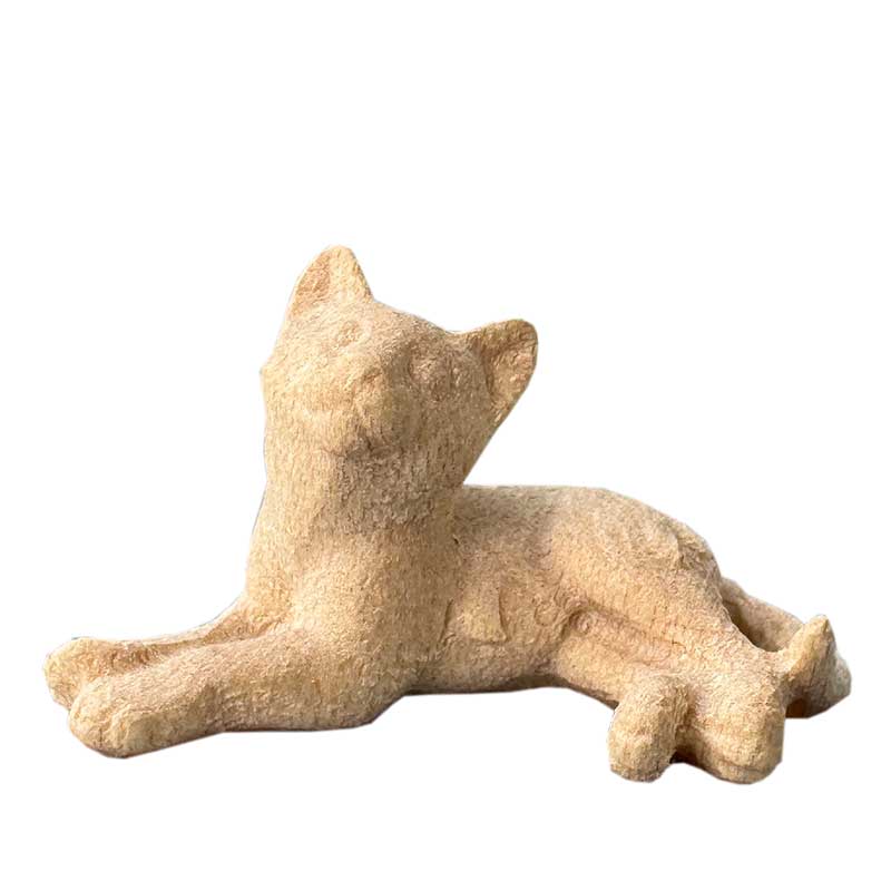 Liegendes Kätzchen