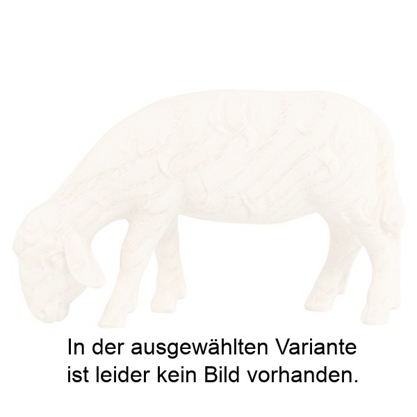 HK Schaf grasend (Esche) HK Schaf grasend (Esche)