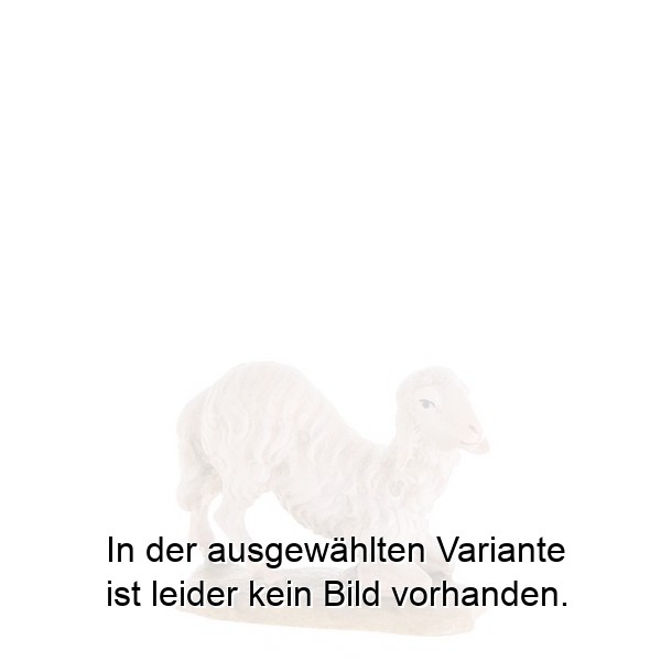 Schaf kniend Schaf kniend