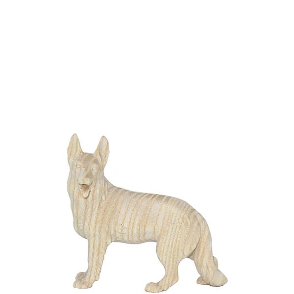 Schäferhund Schäferhund