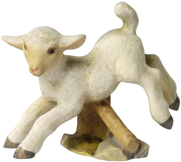 Lamm über Zaun Lamm über Zaun