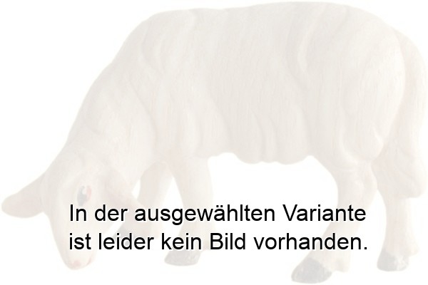 Schaf grasend