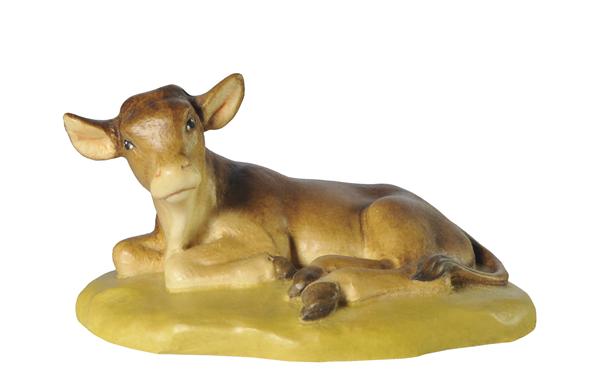 Kalb liegend