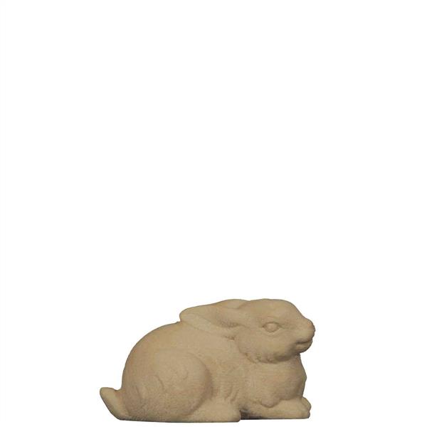 Hase Hase