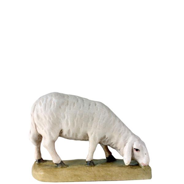 Schaf Fressend rechts Schaf Fressend rechts