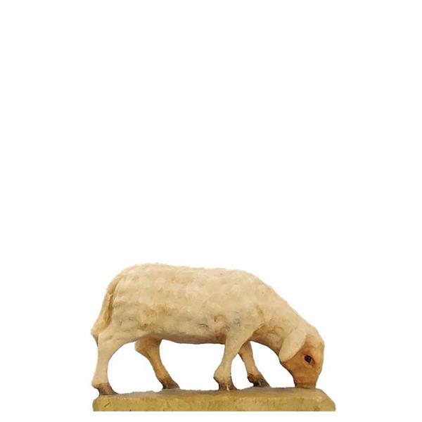 Schaf äsend