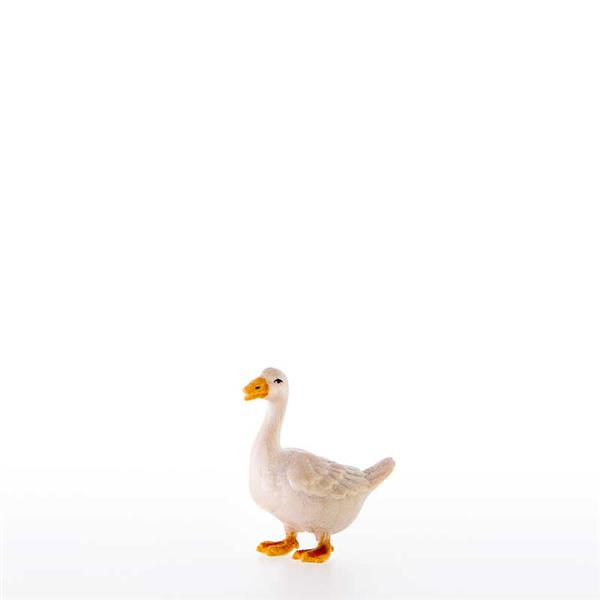 Gans nach vorne schauend Gans nach vorne schauend