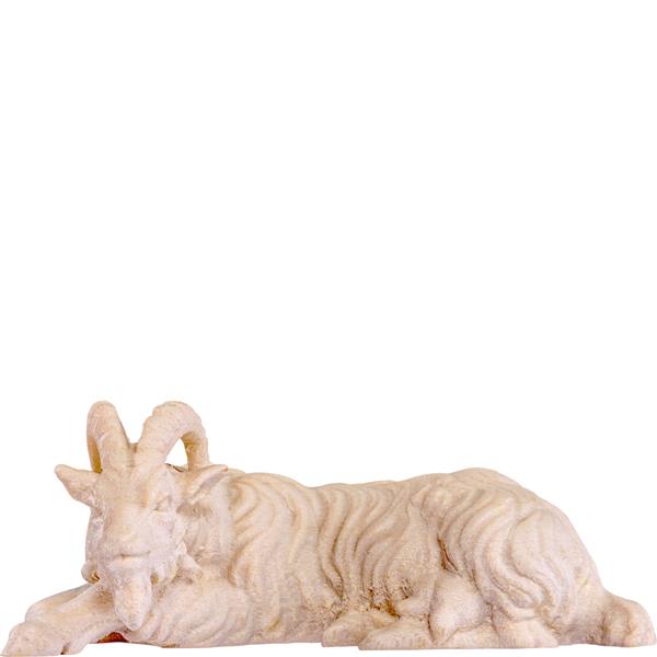 Ziege liegend Ziege liegend