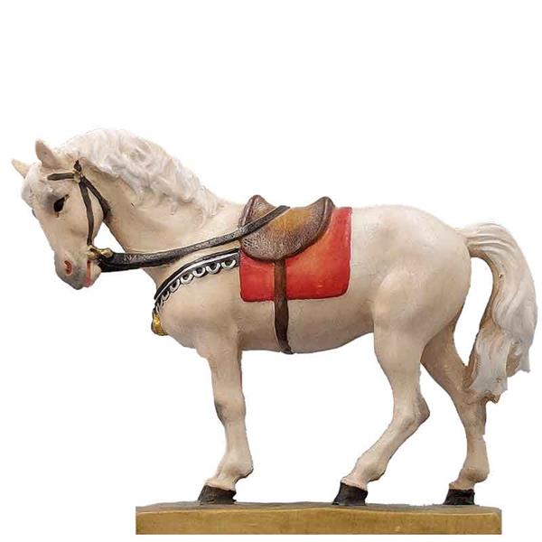 Pferd weiß Pferd weiß