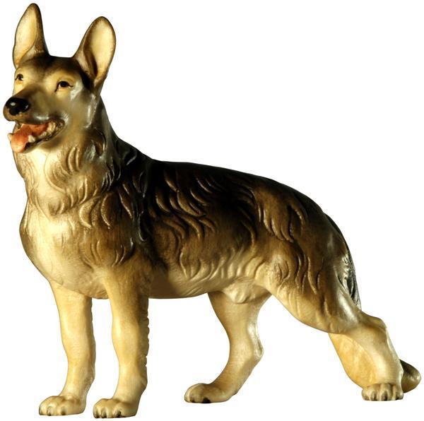 Schäferhund Schäferhund