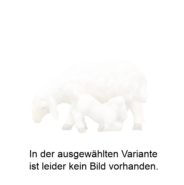 Schaf mit Lamm saugend