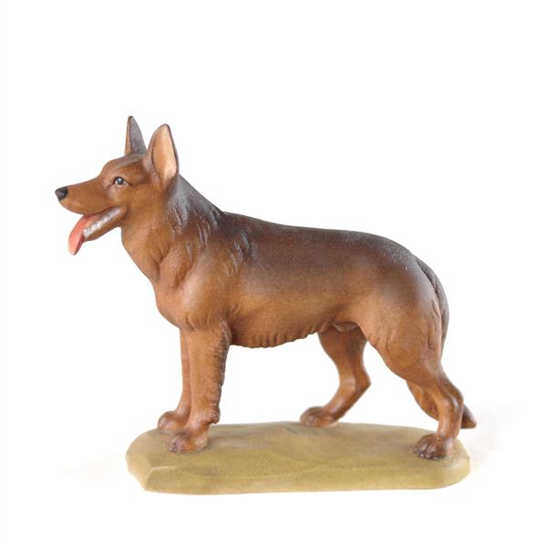 Schäferhund Schäferhund
