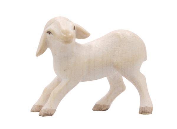 Lamm stehend Lamm stehend