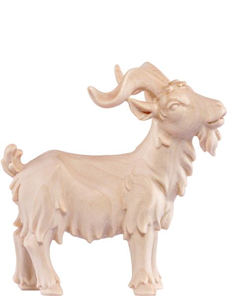 Ziegenbock Artis Ziegenbock Artis