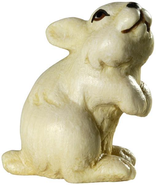Hasenjunge auf Hinterpfoten Hasenjunge auf Hinterpfoten