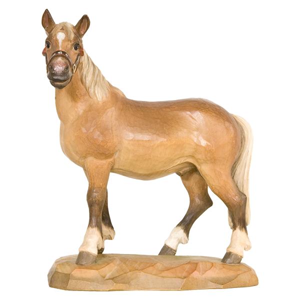 Haflingerpferd Haflingerpferd