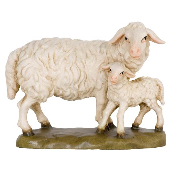 Schaf stehend mit Lamm Schaf stehend mit Lamm