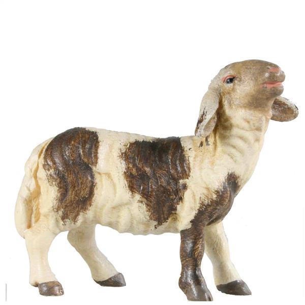 Schaf stehend fleckig Schaf stehend fleckig