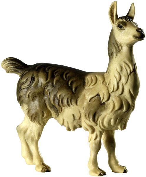 Lama