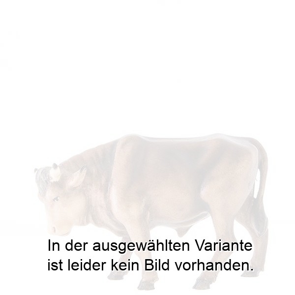 Ochs stehend Ochs stehend