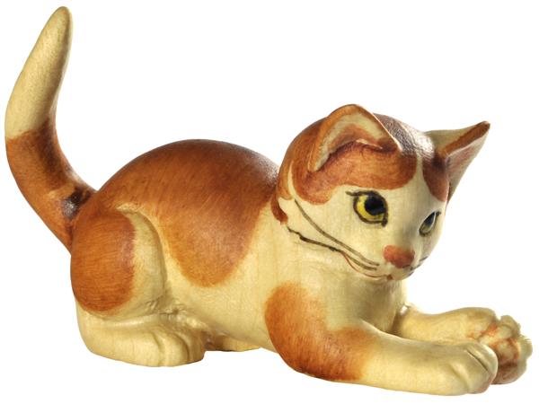 Katze Pfoten nach vorne rot-braun